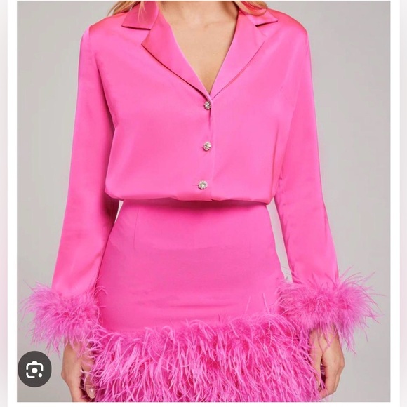 Gorgeous NADINE MERABI Taylor feather blouse w/rhinestone buttons. - Picture 13 of 13